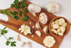 Manfaat Bawang Putih Bagi Ibu Hamil Yang Menyehatkan