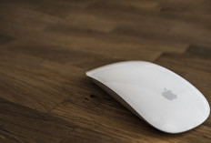 Mouse Tidak Berfungsi? Ini Penyebab dan Cara Mengatasinya dengan Mudah