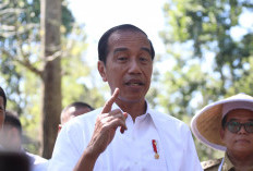 Pupuk Subsidi, Jokowi: Alokasi Naik Dua Kali Lipat