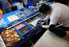 China Stop Impor Seafood Jepang, Ketegangan Politik Membesar
