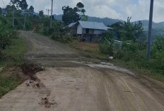 Akses Jalan ke Suoh Dibenahi, Pemprov Gelontorkan Rp8,5 M