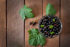 Banyak Manfaat Kesehatan dalam Buah Elderberry