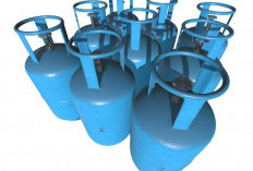 Ini Daftar Harga LPG 3 Kg, 5,5 Kg dan 12 Kg