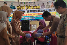 LEWAT POSYANDU, PKM Waykrui Maksimalkan PIN Polio 