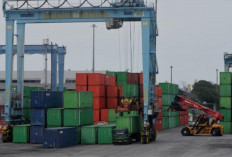 Amerika Ternyata Menjadi Kontributor Utama Surplus Neraca Perdagangan RI Maret 2025