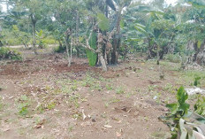 Polemik Lahan Hambat  Pembangunan Gedung KDMP