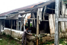 Miris! Aula dan Rumah Dinas Kecamatan Suoh Nyaris Rubuh