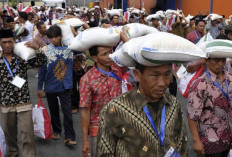 Bulog akan Gelontorkan 720 Ribu Ton  Bantuan Pangan pada 2026