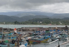 Gelombang Tinggi Terjadi,  Nelayan Diimbau Waspada