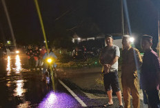 Jembatan Gantung Putus, Banjir Rendam Rumah Warga Mandiri Sejati