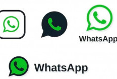 Biar Gak Penasaran, Begini Cara Melihat Status WhatsApp yang Sudah Dihapus 