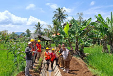Camat Kebuntebu Tinjau Pembangunan Fisik, Tekankan Kualitas dan Ketepatan Waktu