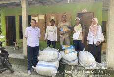 5.807 Hektar Sawah di Pesisir Barat Terima Bantuan Benih Padi