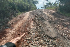 Warga Atar Bawang Minta Aleg Dapil ll, Perjuangkan Pembangunan Jalan Poros