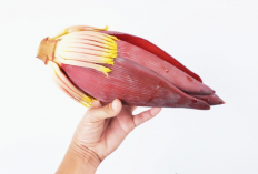 Jantung Pisang: Sumber Nutrisi Alami bagi Ibu Menyusui