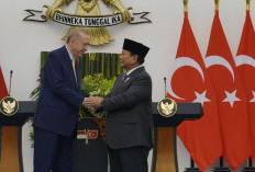  Komitmen Turki dalam Pembangunan Ibu Kota Nusantara dan Kerja Sama Indonesia-Turki