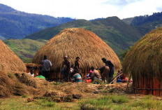 Menjelajahi Lembah Baliem, Panorama Eksotis dan Tradisi Khas Pegunungan Papua