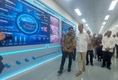 Indonesia Miliki Pabrik Panel  Surya Terbesar Senilai Rp1,5 T