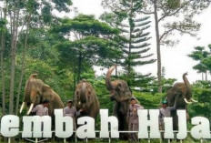 10 Destinasi Menarik di Bandar Lampung yang Wajib Dikunjungi