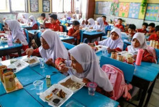 UMKM Mitra Program MBG Dapat Akses Pembiayaan Hingga Rp500 Juta