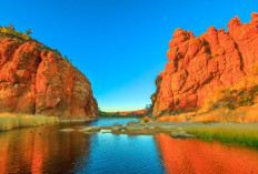 Sungai Finke di Australia Disebut Sungai Tertua di Dunia, Mengalir Sejak Ratusan Juta Tahun Lalu