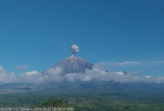 Gunung Semeru Erupsi Pagi Ini, Muntahkan Abu Setinggi 900 Meter