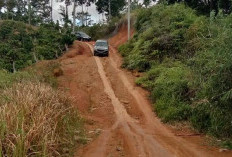 Warga Berharap Jalan Penghubung   Antarkuaw-Kayukehenak di Bangun 