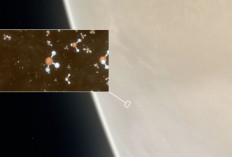 NASA Deteksi Tanda Kehidupan di Atmosfer Venus, Ilmuwan Minta Pendekatan Lebih Hati-hati