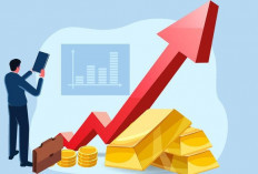 Tiga Tahun Terakhir, Realisasi Investasi Capai Rp567 Miliar