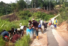 Jalur SMA 10 Tahun Tak Dibangun, Walid Murid-Warga Kompak  Perbaiki Jalan Secara Swadaya