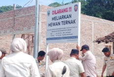 Sat Pol PP Pesbar Gencar Sosialisasi  Larangan Meliarkan Hewan Ternak