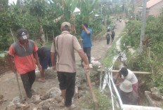 Jalan Menuju Sekolah Itu Diperbaiki Warga Laporan dari Waytenong, Lampung Barat