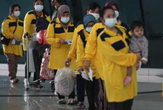 OJK Dorong Pekerja Migran Pulang Jadi Juragan, Bukan Tambah Melarat