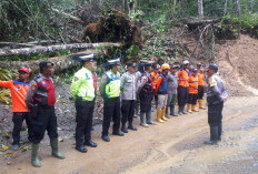Jaga Keamanan Pengguna Jalan Liwa-Krui, Tim Gabungan Pangkas-Bersihkan Pohon Tumbang