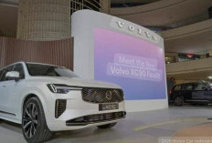 PHK Massal di Volvo Group AS, Efek Domino dari Kebijakan Tarif Trump