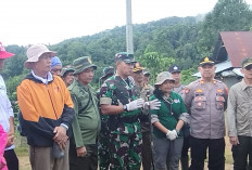 Meski Harimau Berhasil Dievakuasi, Dandim 0422/LB Imbau Warga Tetap Tak Sendirian ke Kebun 