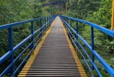 Talang Indah Pringsewu, Wisata Alam dan Sejarah di Lampung
