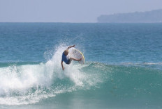 Tercatat, Pesisir Barat Miliki 18 Spot Surfing Kelas Dunia