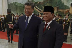 Presiden Xi Jinping: 75 Tahun Kemitraan China-Indonesia Layak Jadi Teladan Global