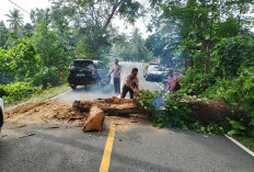 Anggota Polsek Pesisir Utara Gerak Cepat Bersihkan Pohon Tumbang
