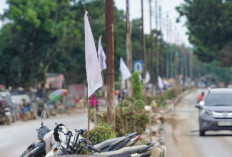 Bendera Putih Pascabanjir Berkibar di Aceh, Warga Desak Bantuan Lebih Luas