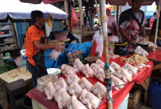 Harga Ayam dan Telur Masih  Melonjak di Bandar Lampung