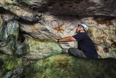 Lukisan Gua Berusia 67.800 Tahun Ungkap Peran Anak dalam Seni Cadas