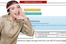  Rekrutmen CPNS 2024: Pengumuman, Cara Cek Hasil, dan Jadwal Penting