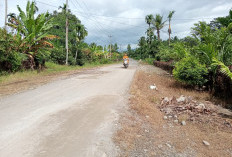 Tak Kunjung Diperbaiki, Warga Gunung Ratu Gotong Royong Tambal Jalan Rusak