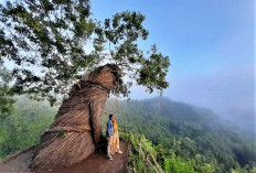 Jurang Jati Watu Payung, Ruang Sunyi di Gunungkidul