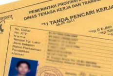 370 Warga Pesisir Barat Buat Ajukan Dokumen Pencari Kerja