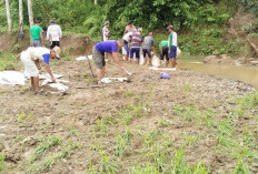 Aliyudiem Dorong Perbaikan Irigasi Way Laay