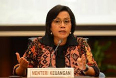  Sri Mulyani Beri Contoh Barang dan Jasa Bebas PPN 12 Persen