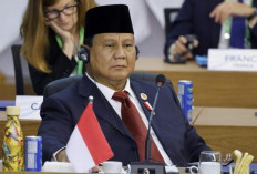 Prabowo Desak Gencatan Senjata di Gaza dan Ukraina dalam KTT G20 Brasil